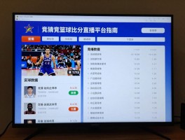 竞猜篮球比分直播平台指南，如何选择靠谱平台,实时数据怎么看,新手怎么入门