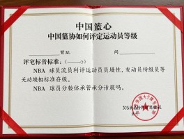篮球球员等级,中国篮协如何评定运动员等级,评定标准是什么,NBA球员如何分级