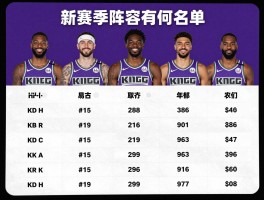 国王队球员名单,新赛季阵容有何变化,核心球员有谁,战术体系如何