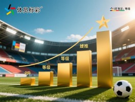 球员等级丨划分标准是什么,如何提升自己的等级,国内外体系有何不同