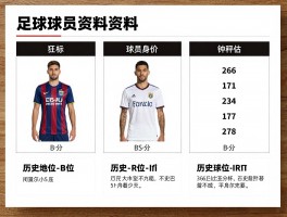 足球球员资料丨哪里查数据最全,球员身价如何评估,历史地位怎么看