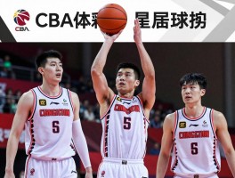 CBA广东籍球员：历史地位如何,现役有哪些代表,未来发展趋势怎样