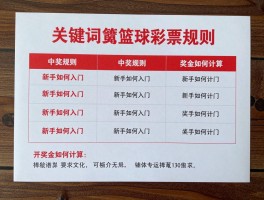 篮球彩票规则,怎么玩,新手如何入门，中奖规则是什么，奖金如何计算