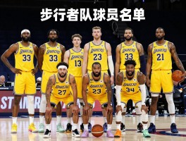 步行者队球员名单丨新赛季有哪些变化,核心球员是谁,阵容实力如何评估