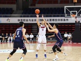 篮球职业与业余本质区别是什么,如何选择发展路径,转化需要哪些条件
