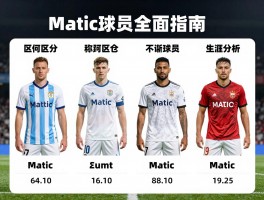 Matic球员全面指南,如何区分不同Matic球员,最新数据与生涯分析