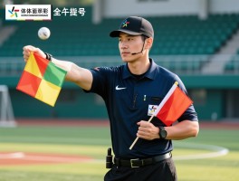 边裁训练全面提升指南：如何系统练习,旗语信号怎么掌握,体能要求有哪些