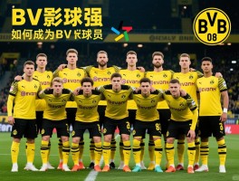 BVB球员丨BVB球员名单有哪些,现役BVB球员谁最强,如何成为BVB球员
