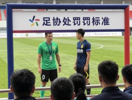 边裁被打了,冲突后如何依法处理,暴力伤害如何追责,足协处罚标准是什么