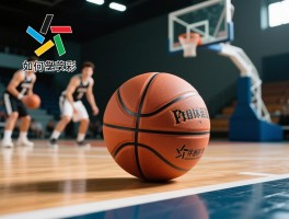 篮球与篮球赛：如何理解其文化差异,健身功能有哪些,规则技巧怎么学