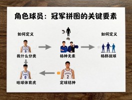 角色球员：冠军拼图的关键要素,如何定义与分类,在球队中起什么作用