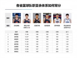 各省篮球队丨职业与业余体系如何划分，最新名单在哪里查询，球员如何实现职业晋升