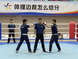 散打边裁怎么给分,评分标准是什么,如何判断击中有效,判罚依据有哪些