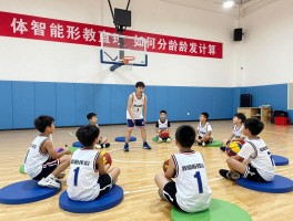体智能篮球丨课程如何分龄设计,科技如何辅助训练,家园怎样协同培养