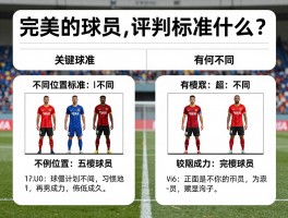 完美的球员,评判标准是什么,不同位置标准有何不同,如何成为完美球员