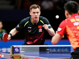 乒乓球员波尔,他为何被称为国乒最强对手,职业生涯击败过多少中国选手,技术特点是什么？