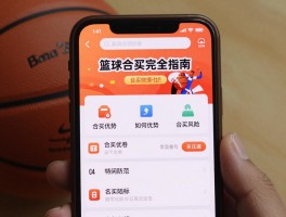 篮球合买完全指南,如何参与合买平台,合买优势有哪些,风险如何防范