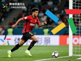 2转球员是什么意思,二次转会如何操作,对球队有何影响