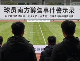 球员南方醉驾事件警示录,职业球员法律风险,公众人物社会责任,足球青训师德建设