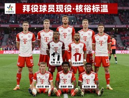 拜仁球员,现役阵容有哪些核心球员,历史传奇球星如何排名,球队文化有何特点