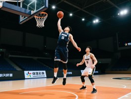 篮球中锋抢篮板技巧,如何卡位,起跳时机,落地处理,训练方法