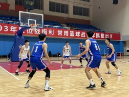 常用篮球战术指南,如何根据球队特点选择战术,战术训练方法有哪些,实战如何应用