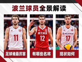 波兰球员全景解读：足球谁最厉害,篮球有哪些名将,排球现状如何