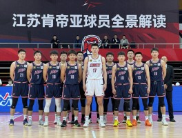 江苏肯帝亚球员全景解读,历史名宿有哪些,现役阵容怎么样,青训体系如何