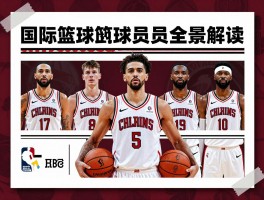 国际篮球球员全景解读,谁是最强国际球员,如何登陆NBA