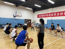 篮球教学培训体系全解析,如何选择适合课程,线上学习资源有哪些