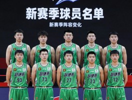 辽篮球员名单,新赛季阵容变化,赵继伟如何带队冲冠