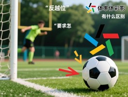 足球中反越位是什么意思,反越位战术怎么用,反越位和造越位有什么区别