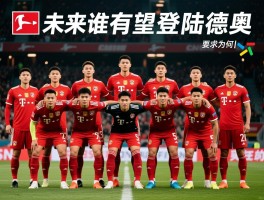 德甲中国球员名单为何仅5人，谁是最成功代表，未来谁有望登陆德甲