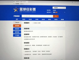 篮球彩票开奖结果查询指南,官方渠道有哪些,结果准确性如何保证,历史数据怎么分析