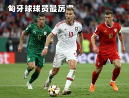 匈牙利球员谁最厉害,有哪些现役球星,历史地位如何排名