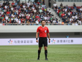 边裁的球迷,争议行为有哪些,如何影响比赛,裁判压力如何化解