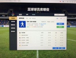 足球球员库有哪些,如何查询球员数据,自荐系统怎么入库