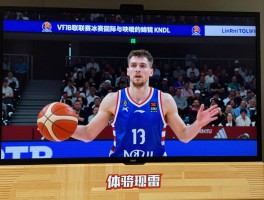 俄罗斯篮球联赛,VTB联赛水平如何,有哪些知名球队,如何现场观看比赛