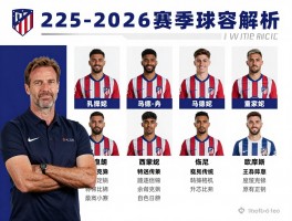 马德里竞技球员名单,2025-2026赛季阵容解析,西蒙尼如何轮换阵容,欧冠前景如何