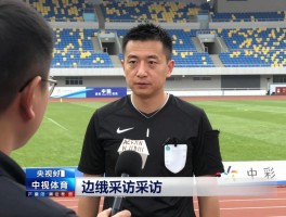 央视边裁采访,边裁如何接受央视采访,边裁采访主要内容有哪些,边裁采访意义何在