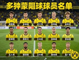 多特蒙德球员名单,最新阵容如何,核心球员有谁,战术体系怎样