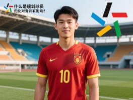 什么是规划球员丨归化球员有什么规则,中国有哪些归化球员,归化对青训有影响吗