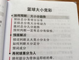 篮球大小竞彩,预设总分怎么定,如何判断大小分趋势,投注技巧有哪些