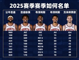 公牛球员名单,2025赛季阵容如何评估,吉迪为何成为建队核心,新秀布泽利斯潜力多大