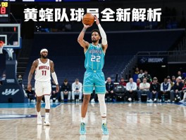 黄蜂队球员全新解析，三球鲍尔如何带队逆袭，球队重建之路在何方