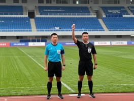 2034杯决赛边裁,判罚标准如何,边裁如何协作,争议判罚如何处理