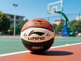 李宁篮球多少钱一个,李宁篮球哪款好性价比高,室外篮球李宁怎么选