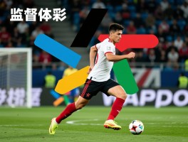 监督越位是什么意思,与缺位有何不同,常见表现有哪些,如何避免监督越位