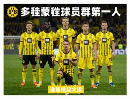 多特蒙德球员群英谱：谁是大黄蜂队史第一人，现役阵容谁能挑起大梁？