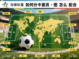 足球球员位置图解大全,如何分工,职责是什么,怎么配合